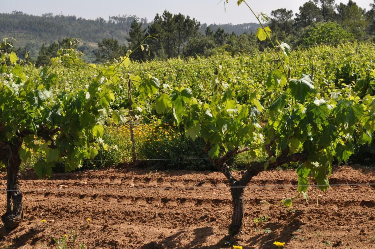 Quinta Da Serrana Ourém Eksteriør bilde