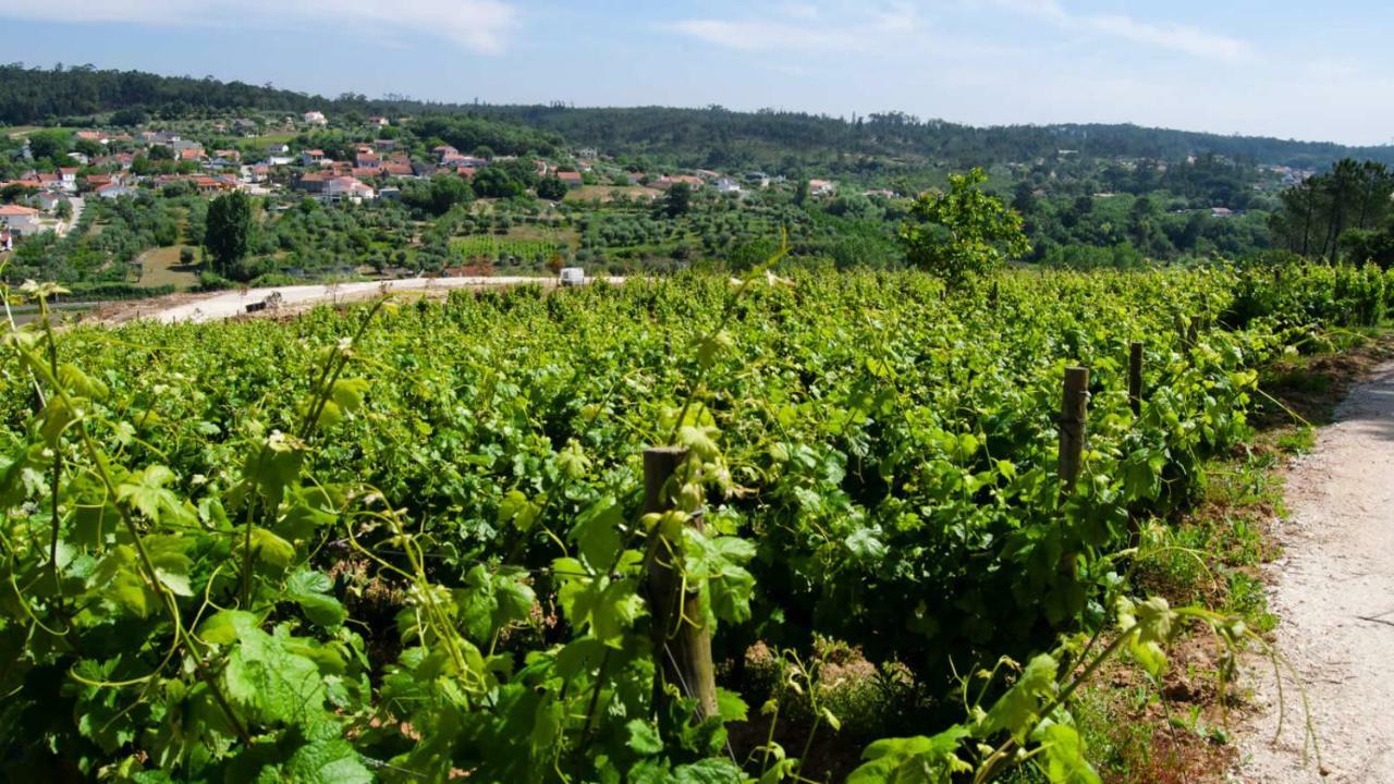 Quinta Da Serrana Ourém Eksteriør bilde
